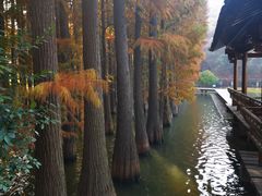 -采石矶景区