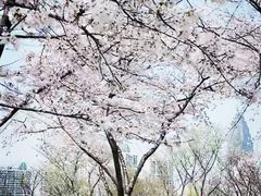 -西北湖绿化广场