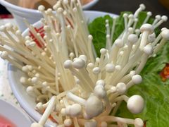 -龙厂长老火锅(抚琴店)