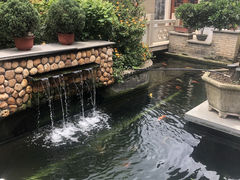 -顺德了能馆(虎门店)