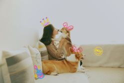 -ZOO KIDS象集摄影工作室(西城公馆店)