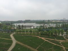 -杭州湾海上花田景区