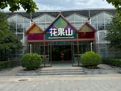 -南宫五洲植物乐园