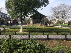 -田园东方蜜桃村的田野营地