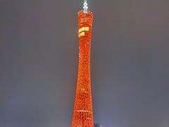 -珠江夜游省总码头