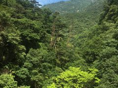 -祁门牯牛降观音堂风景区