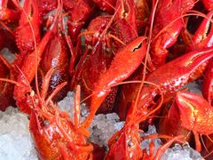 -和创柚子·会席日本料理(新区淮海街店)