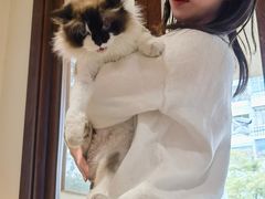 -seeu coffee(江滩店)