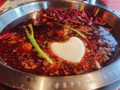 -谭鸭血老火锅(漳州路店)