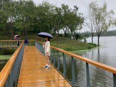 -东郊湿地公园