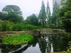 -成都市活水公园