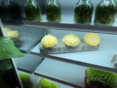 -番食园鲜食火锅(高新店)