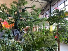 -君临七星生态酒店