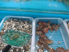 -港畔赶海蒸汽海鲜烧烤自助(仙螺岛店)