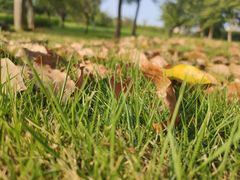 -白塘生态植物园