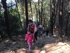 -火炉山森林公园