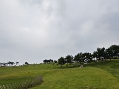-小麦岛公园