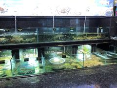 -旺角餐厅(潮州大道店)