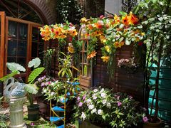 -月亮眼花园餐厅书吧酒吧