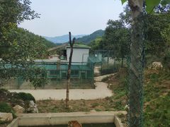 -栾川竹海野生动物园