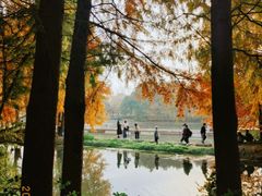 -虎丘湿地公园