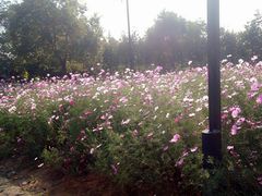 -艾溪湖湿地公园