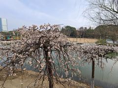 -白塘生态植物园