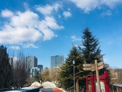 -大兴滨河森林公园