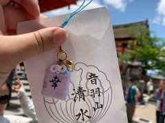 -有栖山 清光院 清水寺