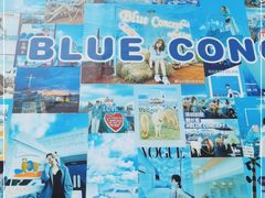 -Blue Concept Cafe&Farm·關於藍