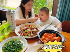 -李东农庄(中南百草园地标店)