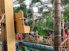 -南宫五洲植物乐园