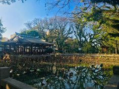 -西湖公园(鼓楼区)