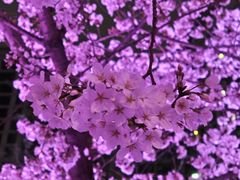 -西北湖绿化广场