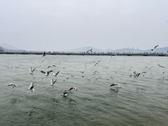 -云龙湖旅游景区