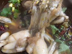 -费明中罗非鱼(大石坝店)