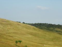 -恋山坝上草原