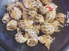 -蚝魁竹笼蒸生蚝 余杭店