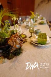 -DNA Wedding 婚礼记(上海店)