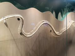 -长江文明馆