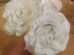 -北京康莱德酒店