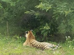 -西安秦岭野生动物园