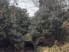 -南山风景名胜区