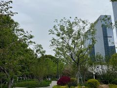 -金鸡湖景区
