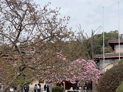 -浙江省博物馆(孤山馆区)