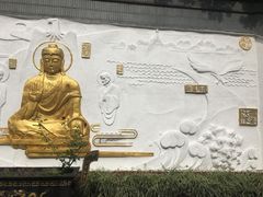 -大金鹰园