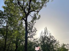 -郑喜旺烧烤(新密总店)