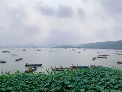 -湖畔居茶楼(湖滨店)