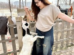 -水上乐园·欢乐世界