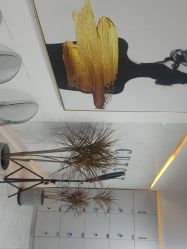 点击看大图 -CUT CUT Hair Salon